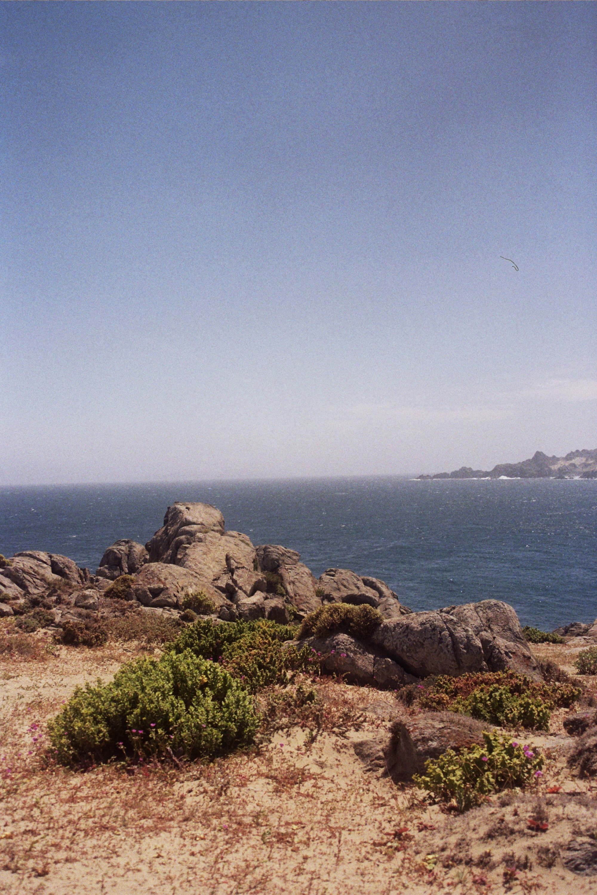 Punta de Choros